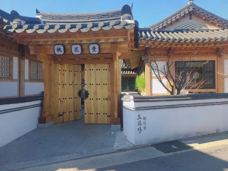  도화당, 경주 점심 맛집에서 칼국수의 깊은 맛을 경험하다