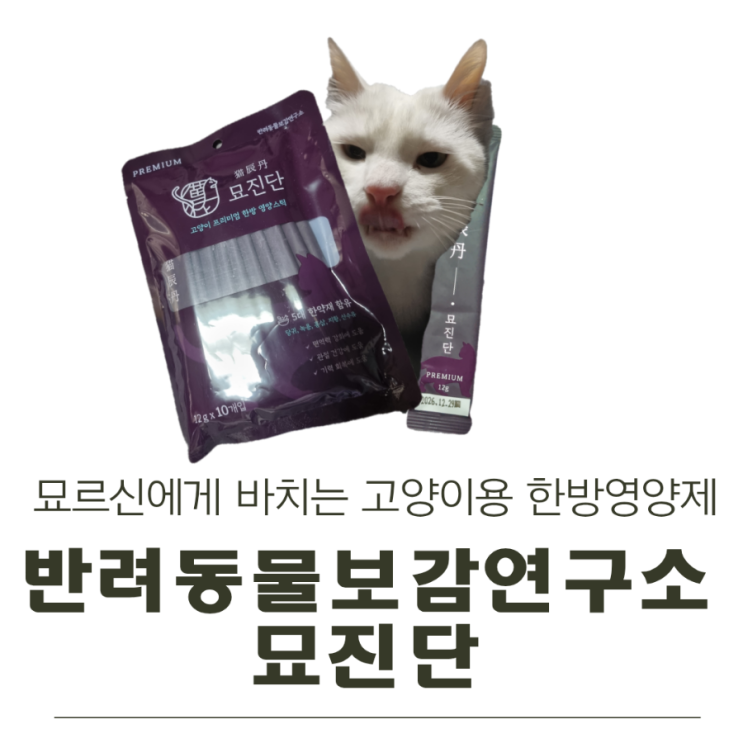  묘르신에게 바치는 반려동물보감연구소 묘진단!