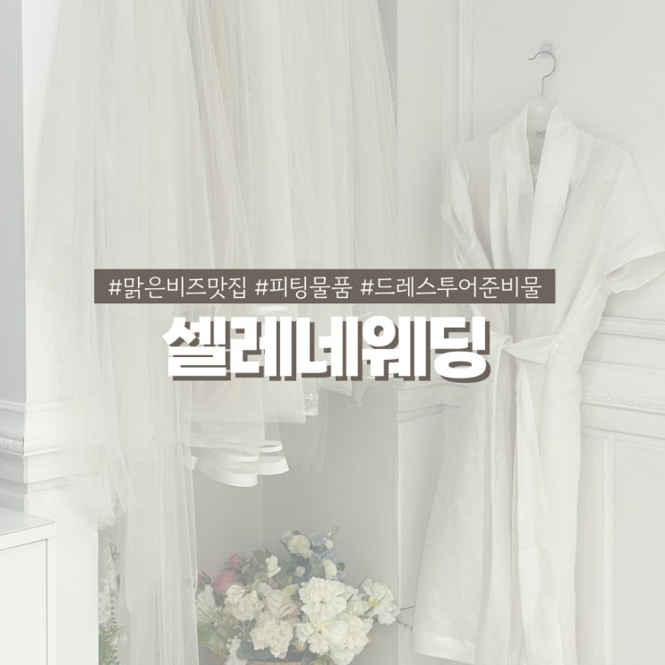  맑은비즈맛집 셀레네웨딩 피팅물품 드레스투어 준비물 소개