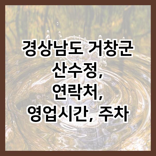 산수정 사진 1