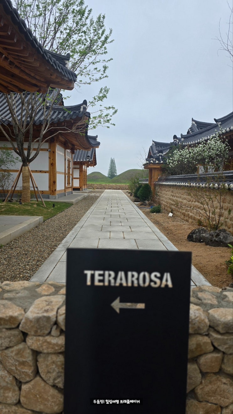  경주 테라로사 신상카페, 오릉 산책 후 잠시 쉬어가기 좋은 곳
