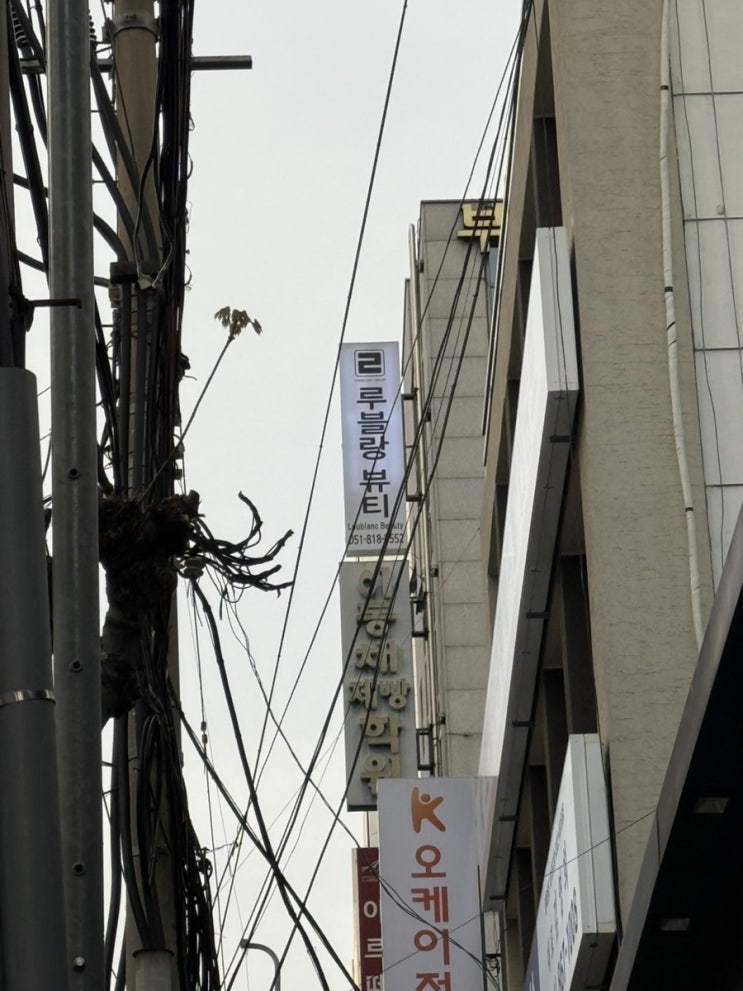  부산 서면 두피스테일링 탈모관리 피부관리 동시에 받을 수 있는, 서면패디플래닝 : 루블랑토탈뷰티 서면본점