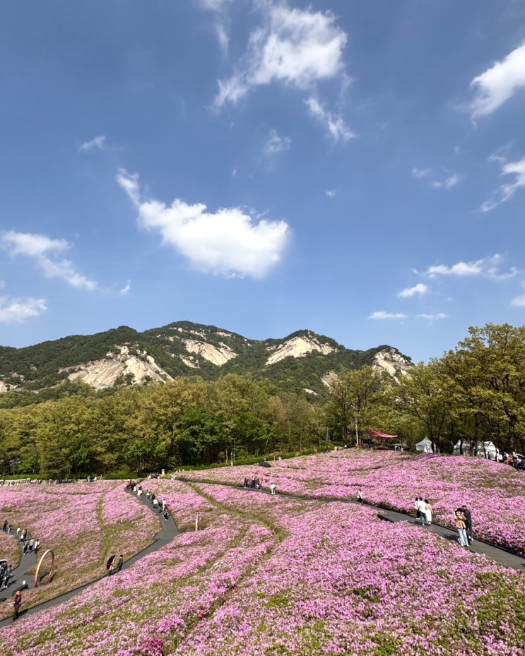  불암산 나비정원 카페 주차장 철쭉동산, 아이랑 다녀옴