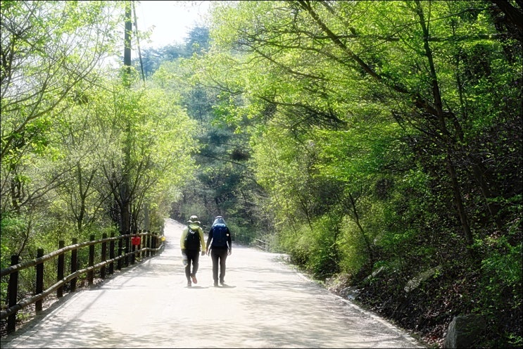  북한산 우이령길 후기(예약, 주차, 교통편, 트레킹 코스, 오봉산 석굴암)