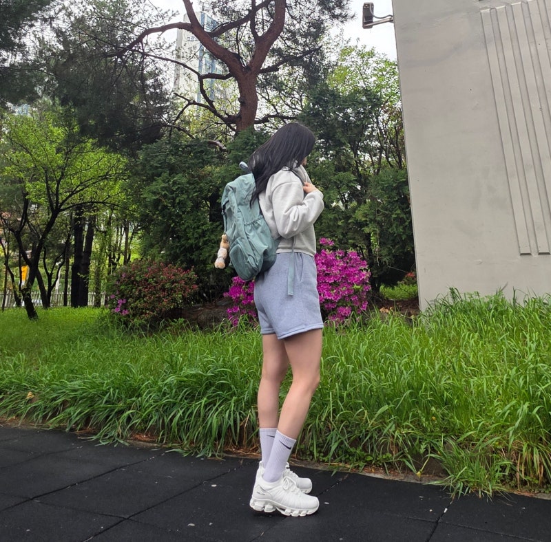 사진 6