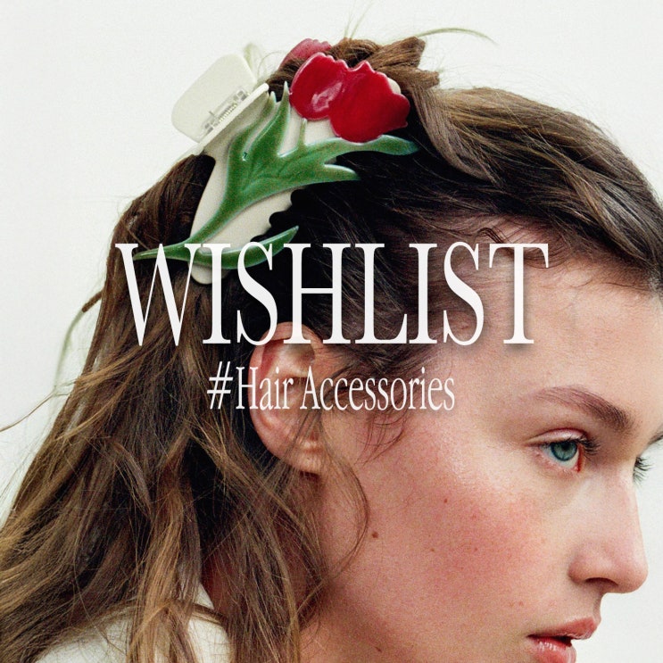  【WISHLIST】 4월 ZARA 자라 봄위시리스트 헤어악세사리 편- 헤어집게핀