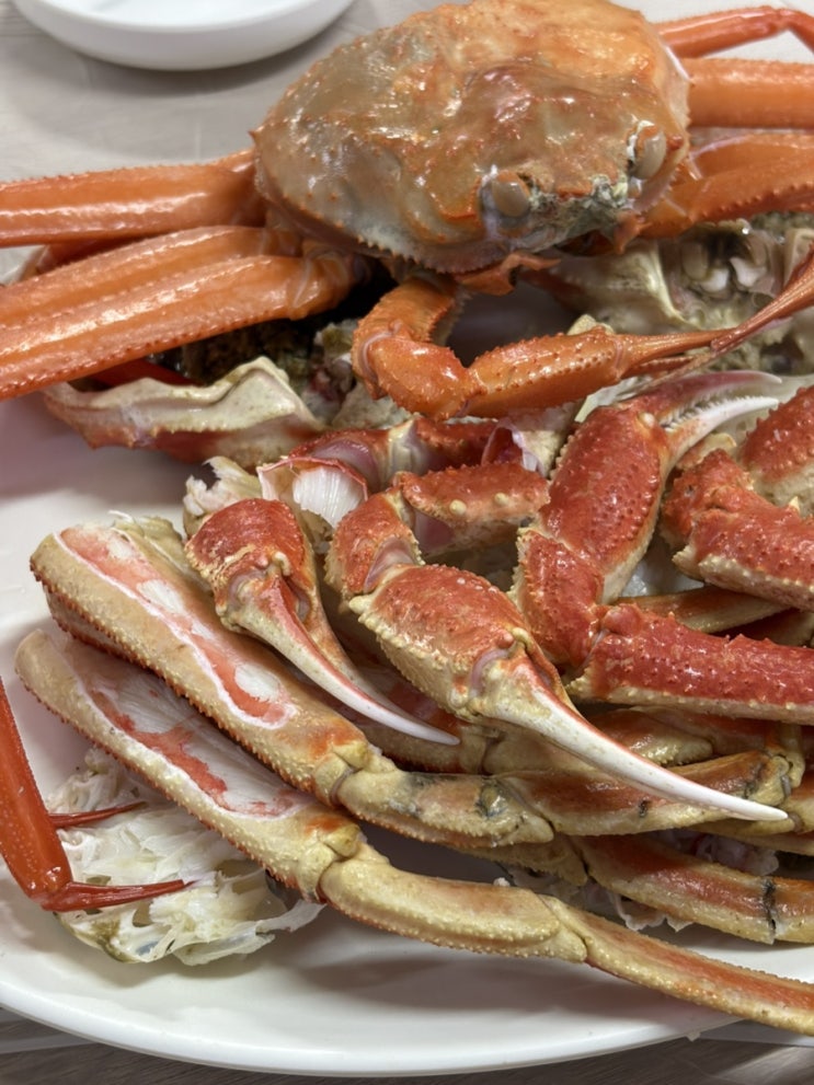  죽도시장 대게 맛집 한신수산