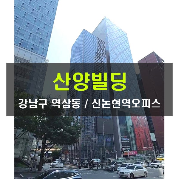  중개수수료무료 산양빌딩 강남 대형사무실 사옥 임대 신논현 50평