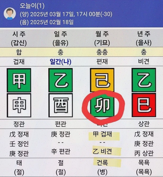  보타점, 재물사주로 나만의 재정 성공 전략 세우기
