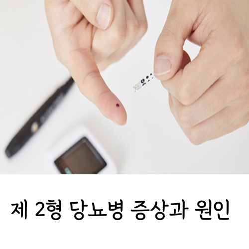 제2형 당뇨병 증상과 원인 당뇨에 좋은 음식