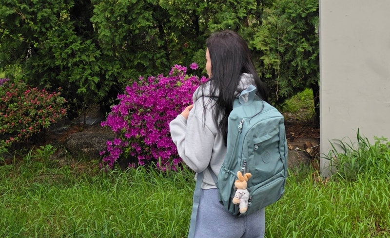 사진 5