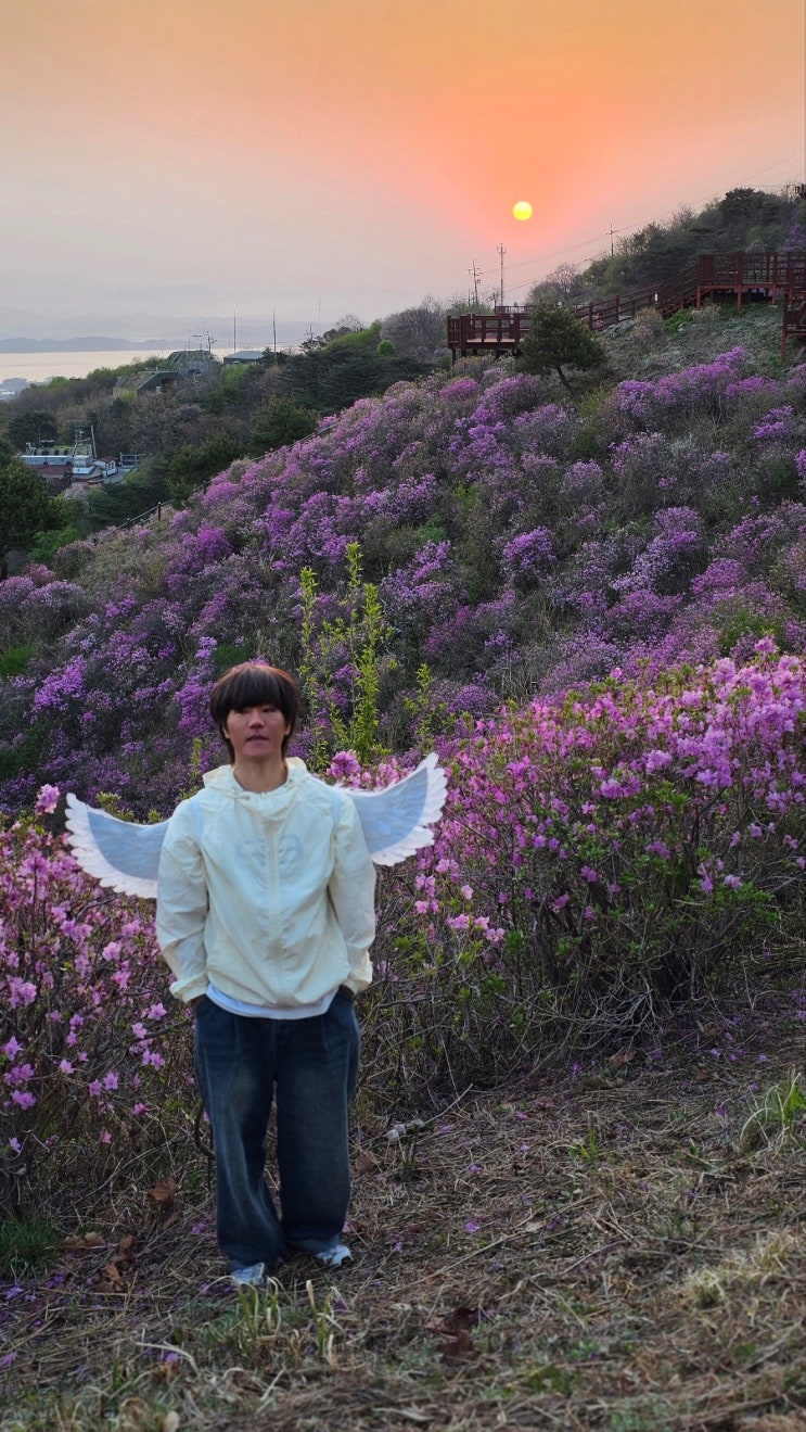 강화도 고려산 백련사 일출산행 + 진달래&철쭉 개화상황