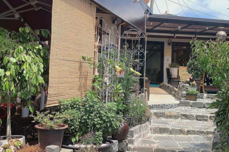  동해인, 영월 서부시장 맛집에서 신선한 해산물을 즐기다!