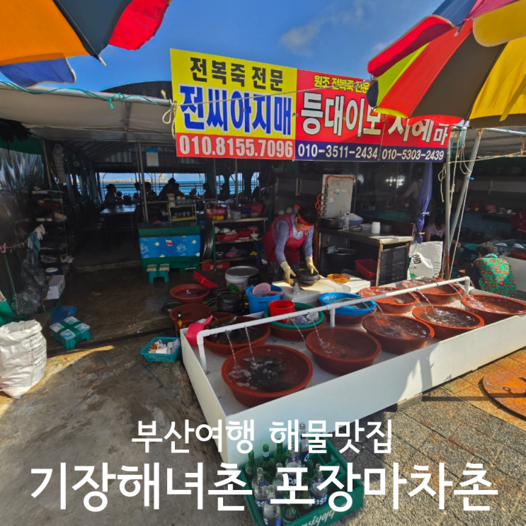  부산 해산물 맛집 기장해녀촌 해물포장마차촌 애견동반 내돈내산 후기