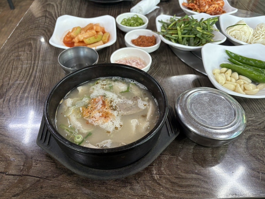 놀보 사진 5