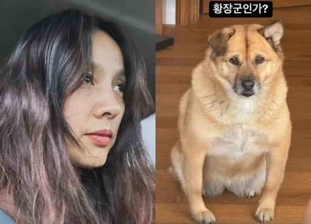 <b>이효리</b>, <b>반려견</b>들과의 평화로운 일상 공개! 이상순과의 소파... 