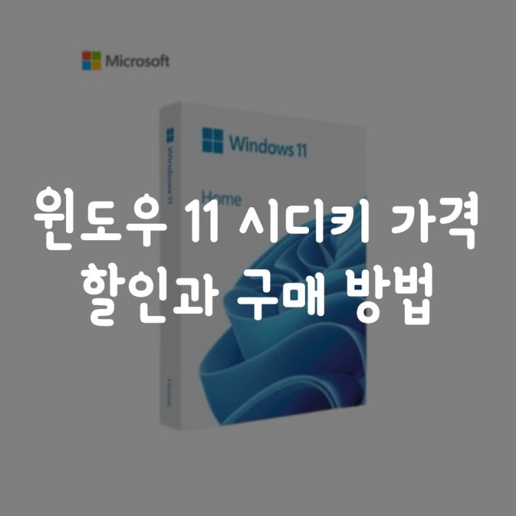  윈도우 11 프로 시디키 가격 할인과 구매 방법