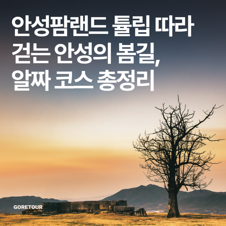  안성팜랜드 튤립 따라 걷는 안성의 봄길, 알짜 코스 총정리
