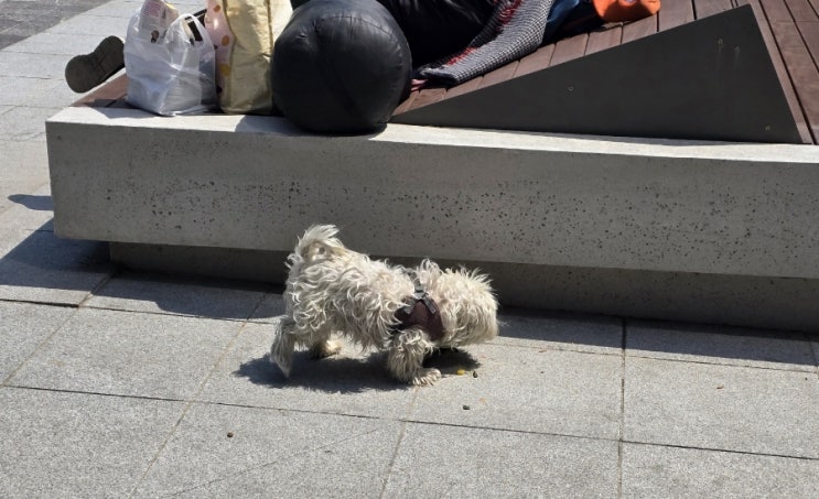  4월 평일 종로 나들이
