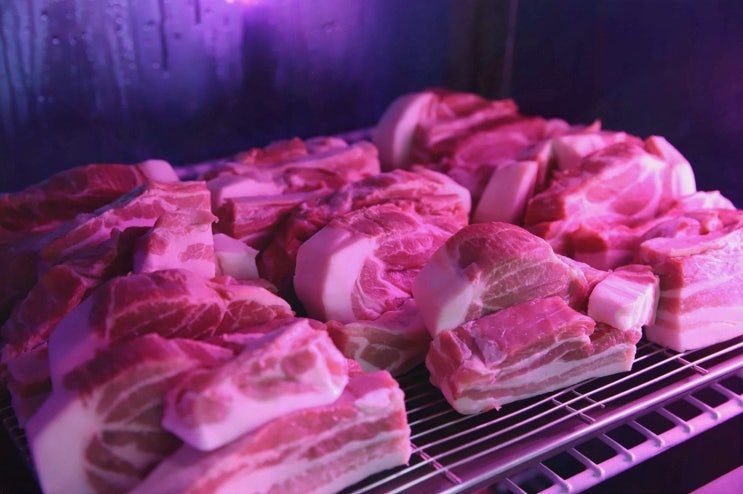  [먹고정 서귀포올레시장본점] 흑돼지 연탄구이와 함께하는 서귀포 올레시장 맛집