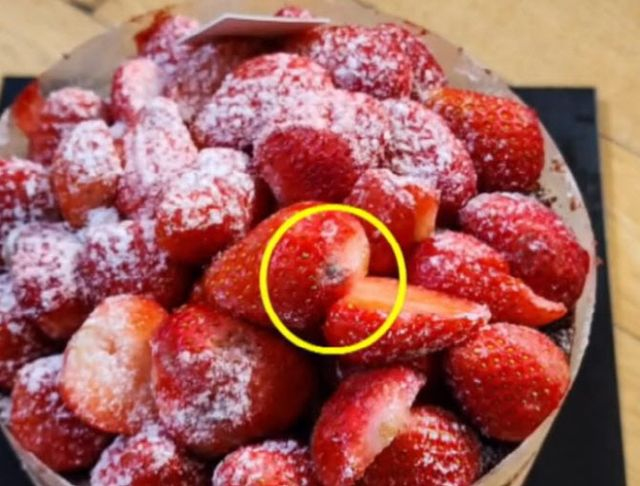  “케이크에 곰팡이가…진물까지” 잘 나가던 ‘성심당’에 무슨 일이
