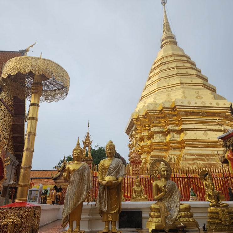  왓 프라탓 도이수텝 Wat Phra That Doi Suthep 동남아 여행지 태국 치앙마이 가볼만한 곳