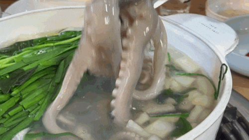 왕십리 맛집 낙지전문점, 연포탕, 세발낙지 다현목포갯벌산낙지