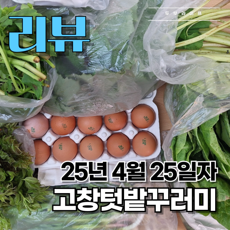  [리뷰] 고창텃밭꾸러미(25년 4월 25일자) 후기