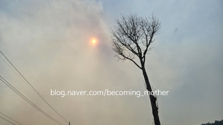 강원도 <b>인제</b> 여행갔다가 <b>산불</b>... 대피 귀가, 어서 100% <b>진화</b>되길