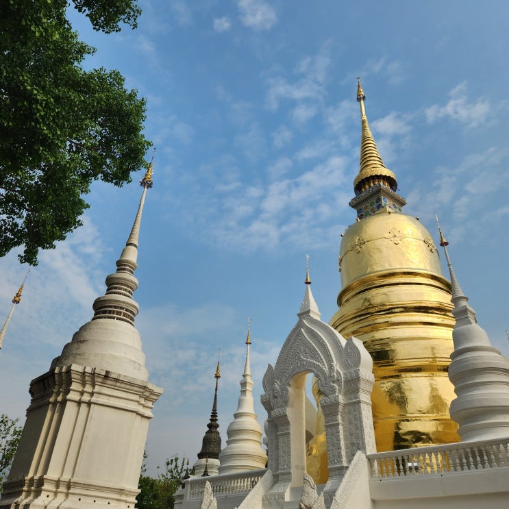  왓 수안 독 Wat Suan Dok 란나왕조 꽃의 정원 동남아 여행지 태국 치앙마이 가볼만한 곳