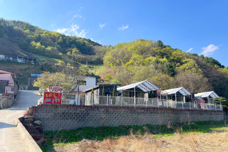 사진 12