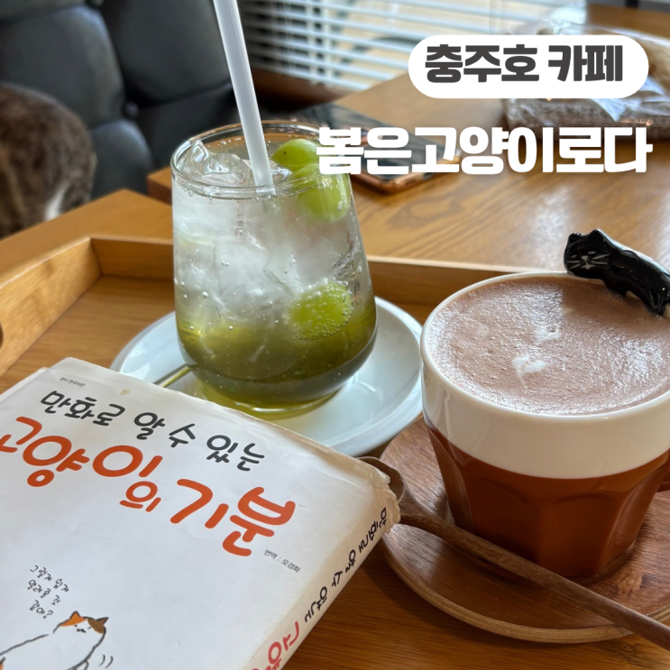  충주호 카페 봄은 고양이로다 귀여운 고양이를 볼 수 있는 브런치 카페