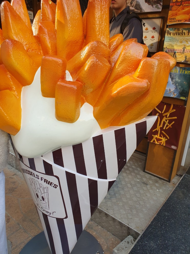  브뤼셀 프라이, 감자튀김 맛집, 내돈내산 솔직후기