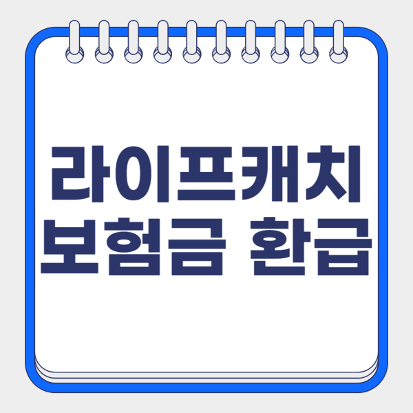 라이프캐치 수수료, 보험금 청구 방법 및 실제 이용 후기 총정리