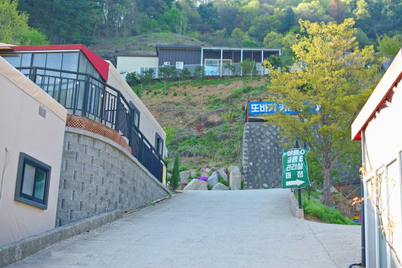 사진 13