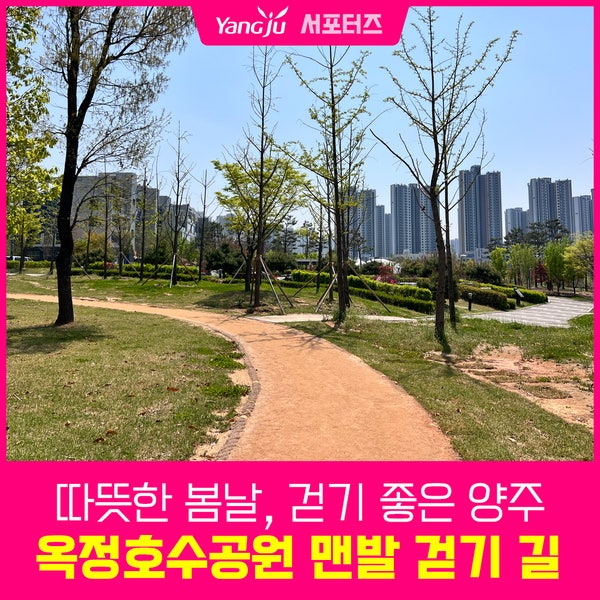 사진 3