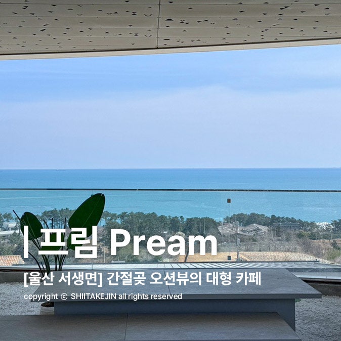  [울산 대형카페] 부산 근교 간절곶 오션뷰의 베이커리 카페 추천, 프림 Pream