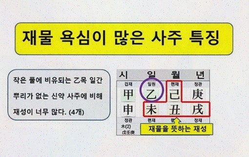  재정의 흐름을 정확히 읽어주는 금전사주, 보타점