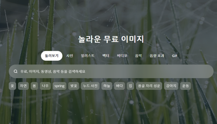  무료 이미지사이트 픽사베이, 블로그와 유튜브에 완벽한 저작권 해결책
