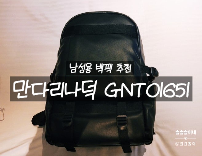 남성용 백팩 추천! 만다리나덕 백팩 GNTO1651 리뷰!