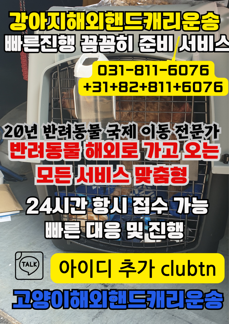  반려동물 해외이동, 강아지·고양이·대형견 국제카고 운송·통관·검역 전문 [해외출국 서류 검역]