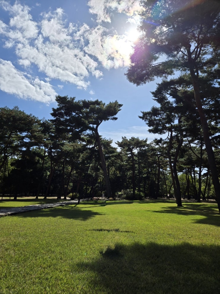  “아는 사람만 안다는 서울 속 숨은 힐링 장소, 태릉”