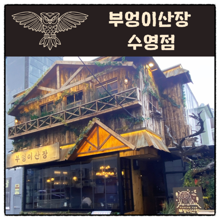 이색적인 분위기의 수영술집 부엉이산장 수영점 솔직 후기 이색적인 분위기의 수영술집 부엉이산장 수영점 솔직 후기