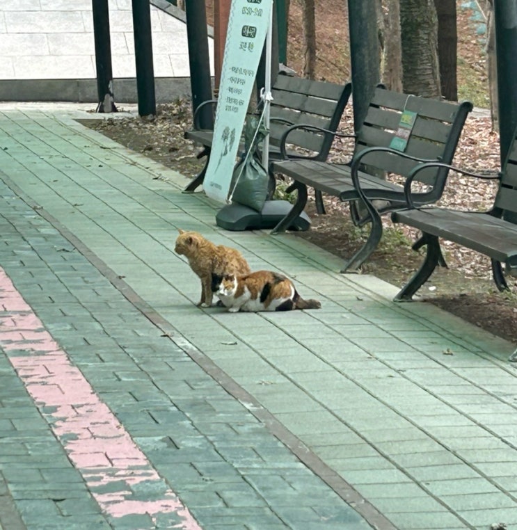  할머니를 뵈러