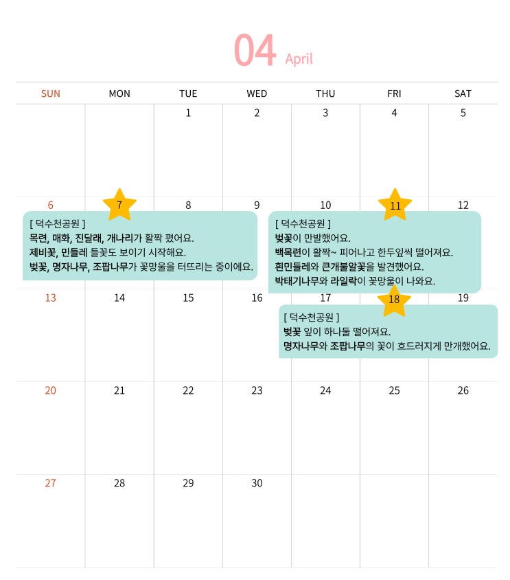 샬롯 일기_자연 관찰] 4월 둘째 주의 봄꽃들