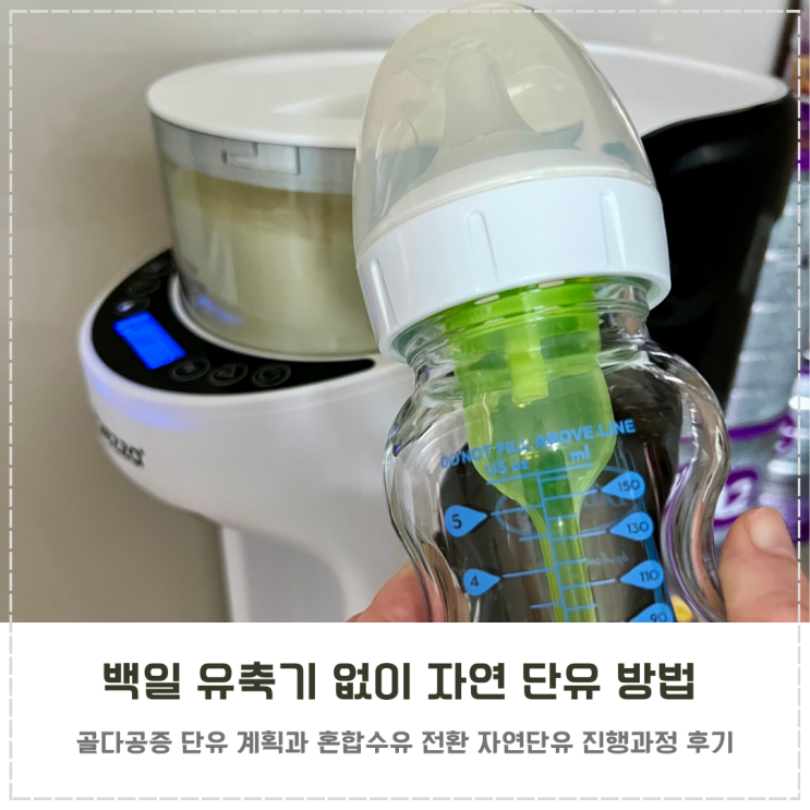  골다공증으로 백일 유축 없이 직수로 단유하는 방법