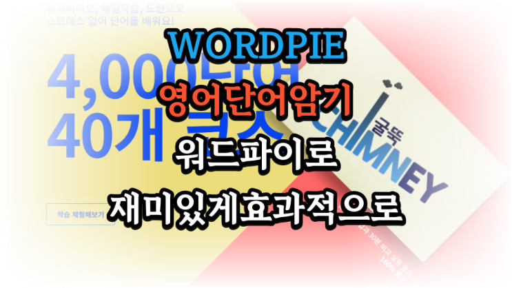  영어단어암기 플랫폼 워드파이로 영어공부에 필수 어휘 확장하기