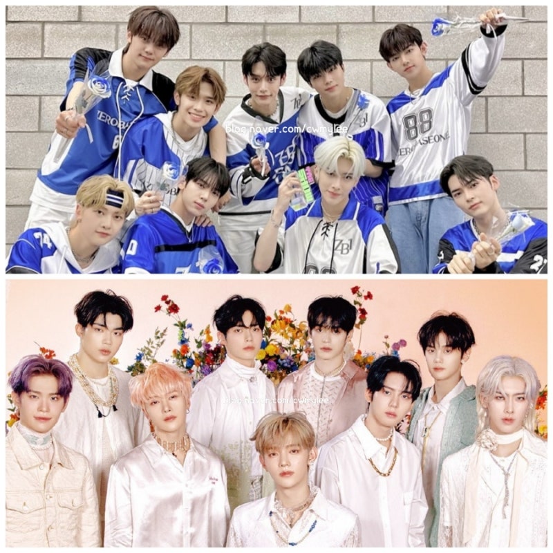전지적 참견시점 제로베이스원 한유진 프로필 전참시 제베원 성한빈 나이 김지웅 키 장하오 ....