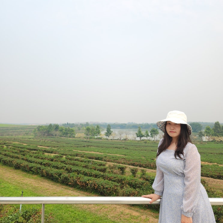  싱하 파크(Singha Park) 녹차밭 동남아 여행지 태국 치앙라이 가볼만한 곳