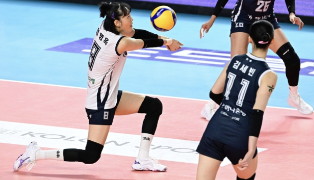 여자배구 FA 임명옥 1억5천만원 헐값 계약한 진짜 이유